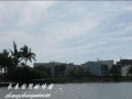 三亚最新旅游爆料,探秘热带天堂的隐藏秘境