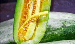 最新网红爆料吃瓜,娱乐圈最新吃瓜大事件，揭秘明星幕后真相！